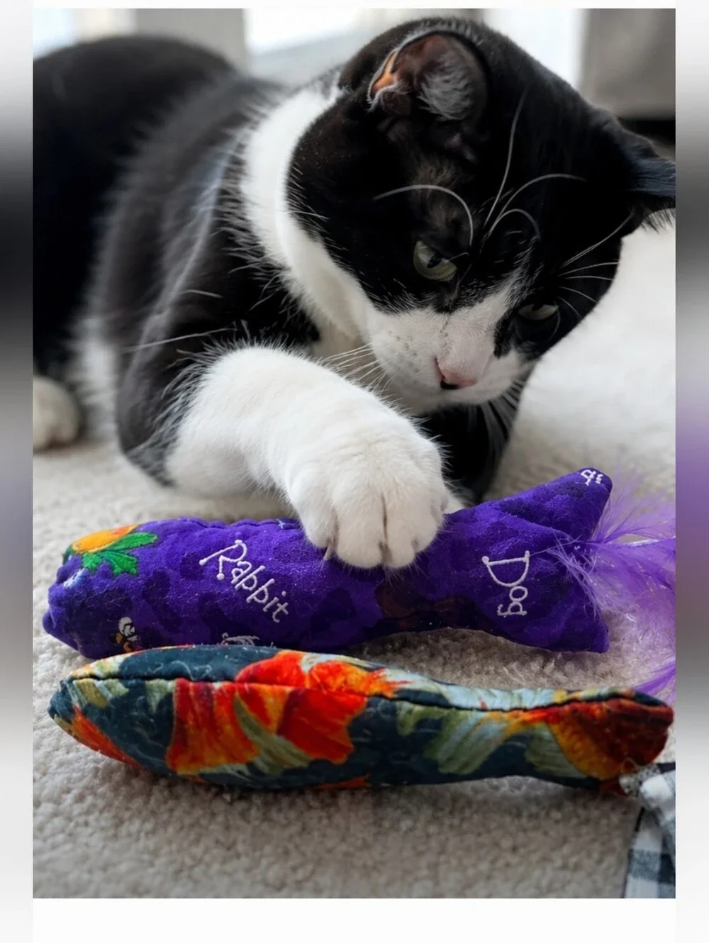 Fish Shaped Catnip Toys